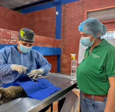 150 caninos y felinos fueron esterilizados en el municipio de Piedecuesta.